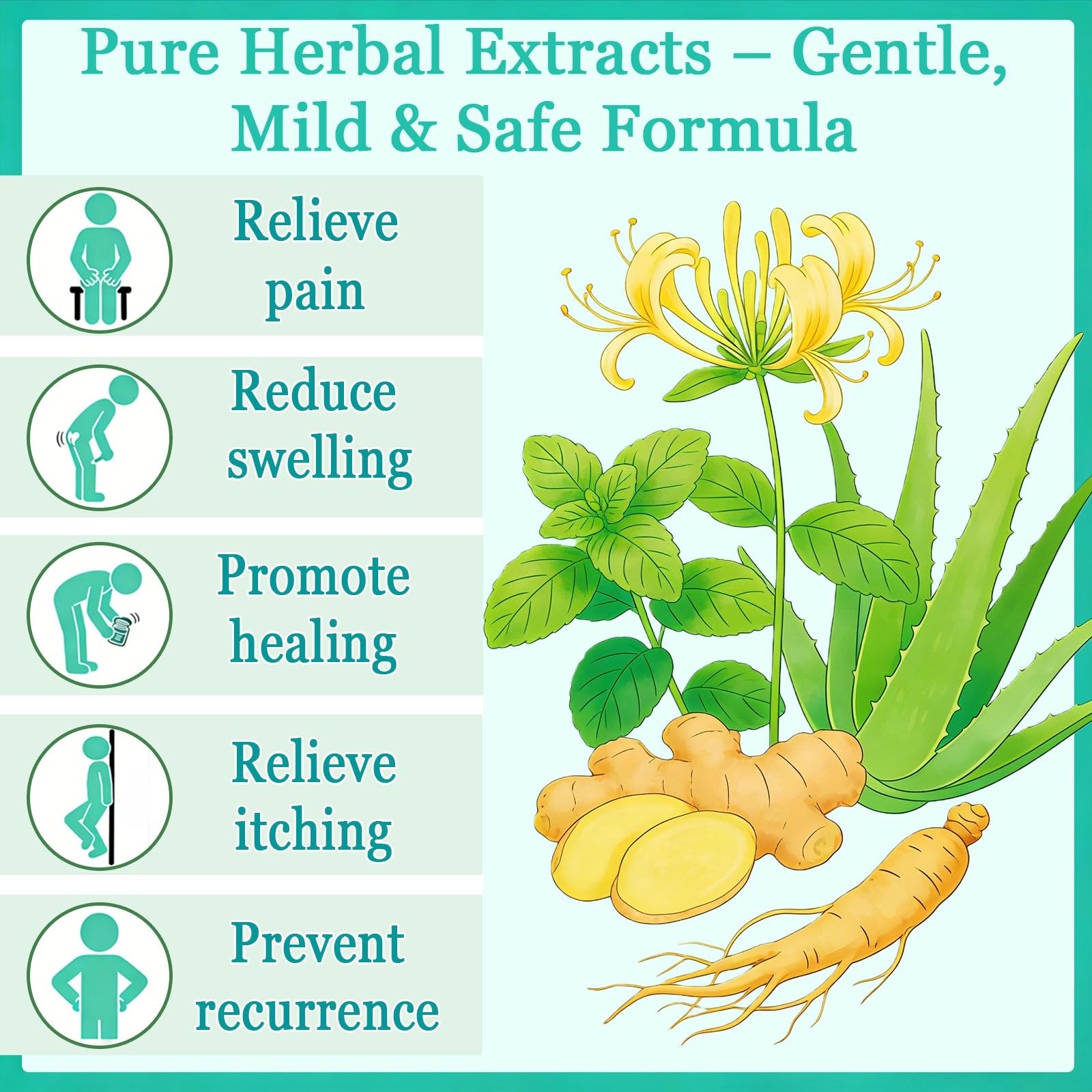 Hushblade Hemorrhoid Body Cream, Natural Herbal Hemorrhoid Cream, for Men and Women Moisturizing and Nourishing - Maple Wellness Supplements
