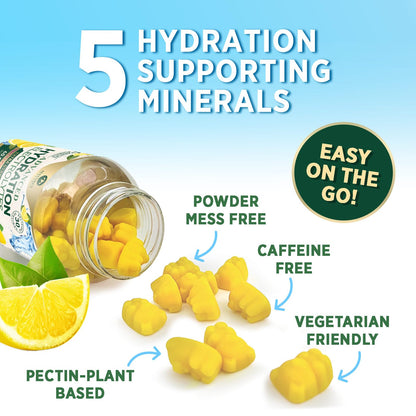 Hydration Electrolyte Gummies - Daily Liquid Replenisher Gummy - Electrolyte Multiplier with Minerals, Potassium & Real Salt - Vegan, Non-GMO - Tasty Lemon Flavor Hydration Electrolytes - 60 Gummies - Maple Wellness Supplements