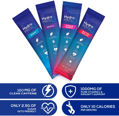 HydroMATE Electrolytes Powder Drink Mix Packets Hydration Accelerator Low Sugar Party Favors for Rapid Recovery Vitamin C Plu - Maple Wellness Supplements