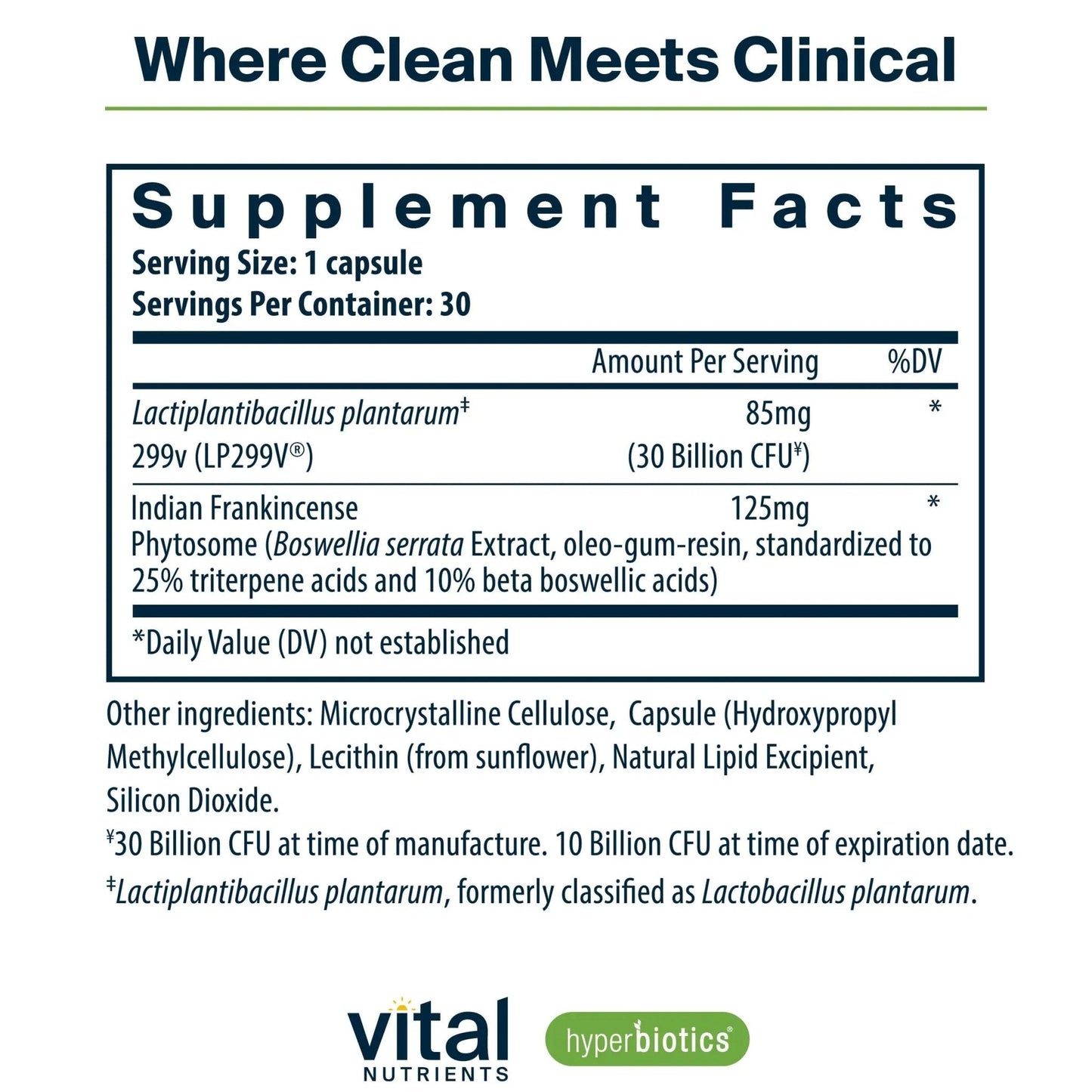 Hyperbiotics Vital Nutrients IBS Probiotic | Reduce Symptoms of IBS* | Clinically Studied Vegan probiotic for IBS Relief from Bloating, Gas, Diarrhea, & Abdominal Discomfort* | 30 Capsules - Maple Wellness Supplements