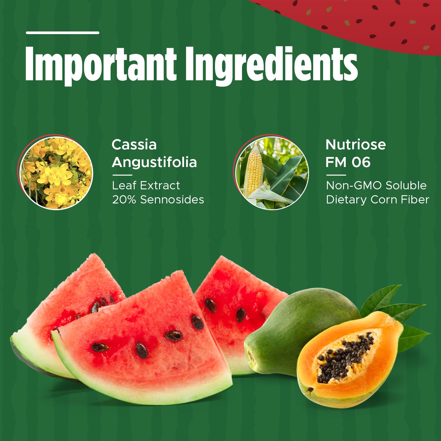 Iaso Instant Tea Watermelon Flavor - 4 grams (25 Sachets) - Maple Wellness Supplements