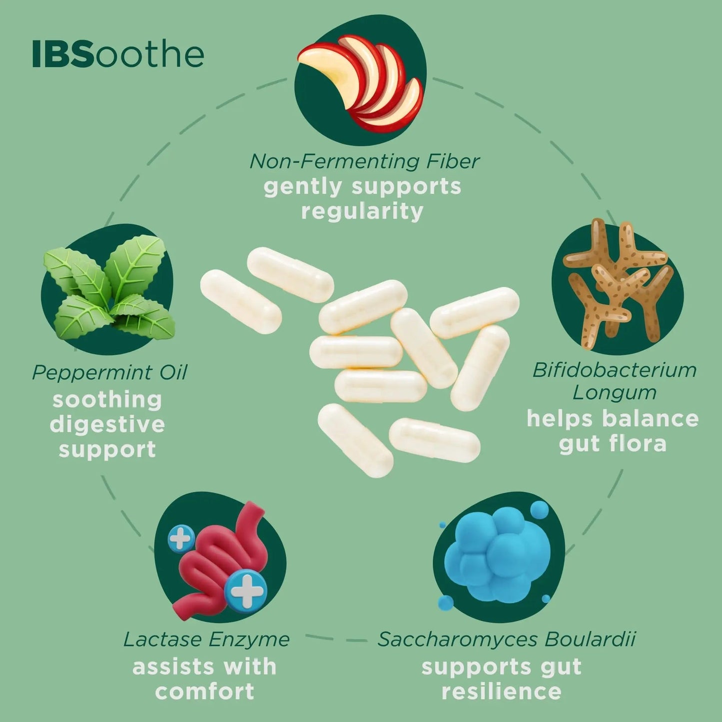 IBSoothe by Dr. Good Gut – Gut Health Supplement for Women & Men with Fiber, Probiotics, Enzymes & Peppermint Oil for Bloating Relief, Digestive Support, IBS Relief & Daily Gut Wellness – 90 Capsules - Maple Wellness Supplements