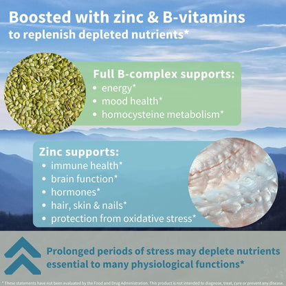 Igennus High Strength Ashwagandha, Magnesium, & L-Theanine Stress Relief Complex, KSM-66 Root Extract Adaptogens, Boosted with Methylfolate, Zinc & Biotin Clean Label, 60 Fast Acting Capsules - Maple Wellness Supplements