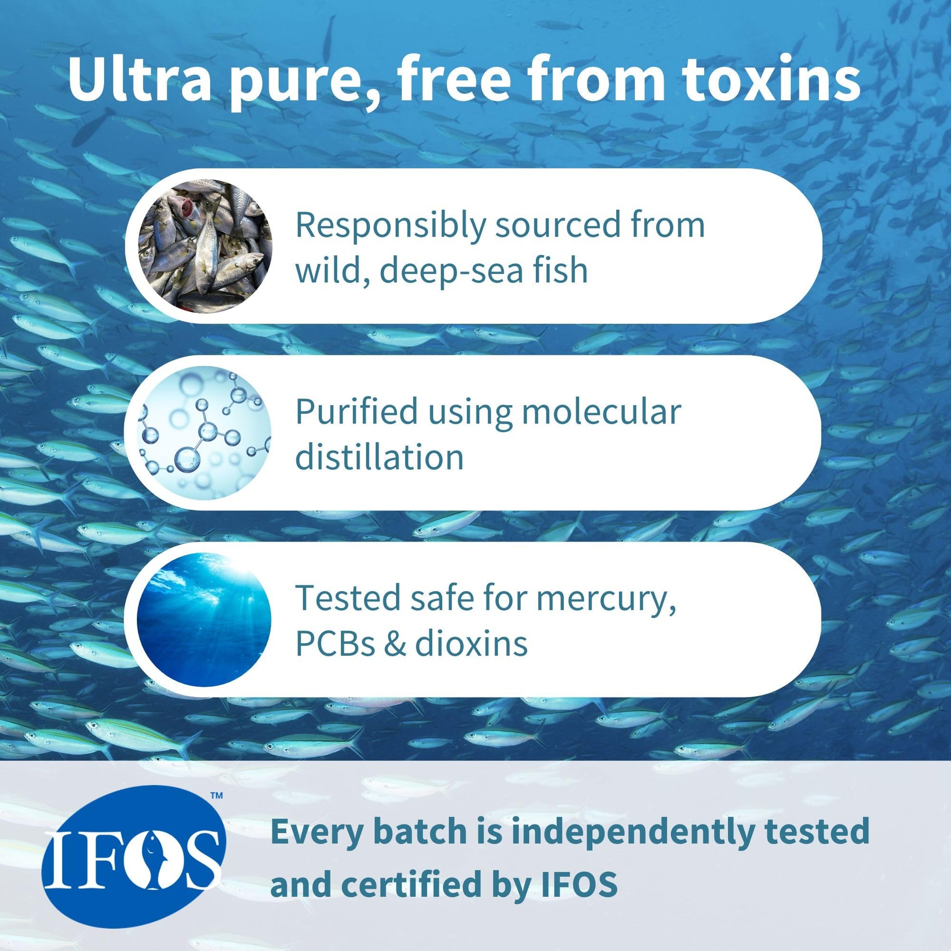 Igennus Ultra Pure Omega 3 Triglyceride rTG Wild Fish Oil 1360mg, IFOS Certified, EPA DHA 1000mg Plus Astaxanthin, Non-GMO, - Maple Wellness Supplements