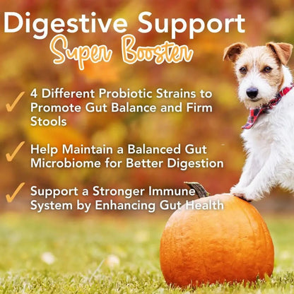 iHeartDogs Pupkin Probiotics, Prebiotics, Postbiotics, & Fiber for Dogs with Pumpkin, Gut Soothing Bone Broth & Mushrooms - Maple Wellness Supplements