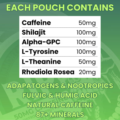 Immortal Drip RIP Nootropic Energy Pouches (Wintergreen) – 5 Cans – 15 Pouches per Can – Clean Energy & Focus Support – 50mg Caffeine, Shilajit, Alpha-GPC, L-Tyrosine, Rhodiola - Maple Wellness Supplements