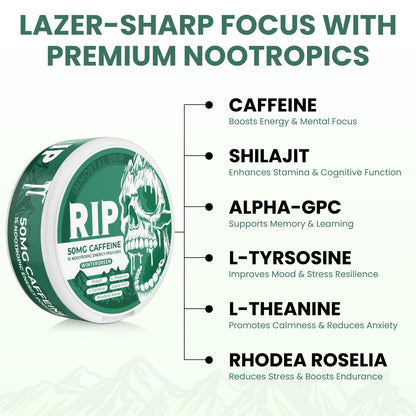 Immortal Drip RIP Nootropic Energy Pouches (Wintergreen) – 5 Cans – 15 Pouches per Can – Clean Energy & Focus Support – 50mg Caffeine, Shilajit, Alpha-GPC, L-Tyrosine, Rhodiola - Maple Wellness Supplements