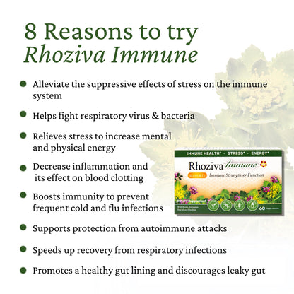Immune Support, Energy Booster with Vitamin C, D3 and Zinc Supplement, Rhodiola Rosea, Reishi Mushroom Extract, Astragalus, Overall Wellness and Daily Habit - 60 Capsules - Maple Wellness Supplements