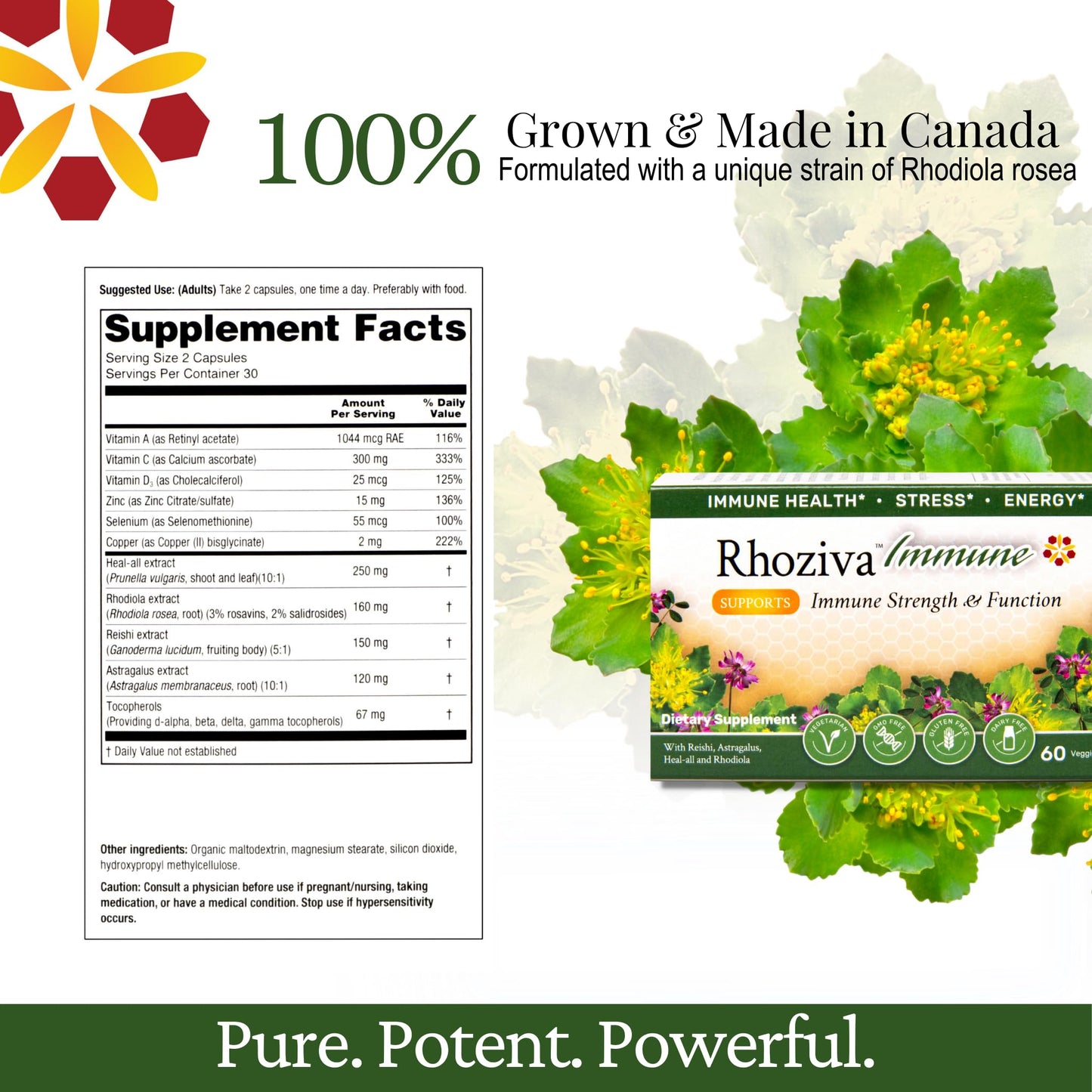 Immune Support, Energy Booster with Vitamin C, D3 and Zinc Supplement, Rhodiola Rosea, Reishi Mushroom Extract, Astragalus, Overall Wellness and Daily Habit - 60 Capsules - Maple Wellness Supplements
