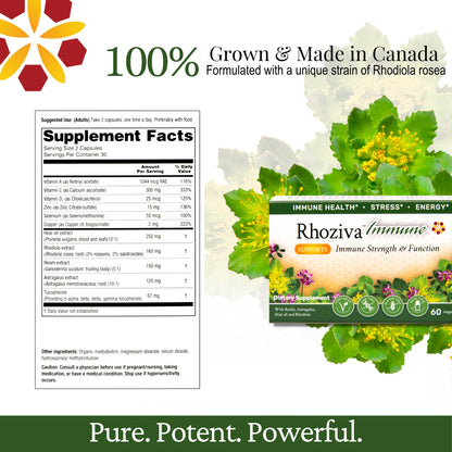 Immune Support, Energy Booster with Vitamin C, D3 and Zinc Supplement, Rhodiola Rosea, Reishi Mushroom Extract, Astragalus, Overall Wellness and Daily Habit - 60 Capsules - Maple Wellness Supplements