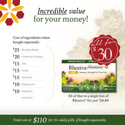 Immune Support, Energy Booster with Vitamin C, D3 and Zinc Supplement, Rhodiola Rosea, Reishi Mushroom Extract, Astragalus, Overall Wellness and Daily Habit - 60 Capsules - Maple Wellness Supplements
