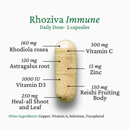 Immune Support, Energy Booster with Vitamin C, D3 and Zinc Supplement, Rhodiola Rosea, Reishi Mushroom Extract, Astragalus, Overall Wellness and Daily Habit - 60 Capsules - Maple Wellness Supplements