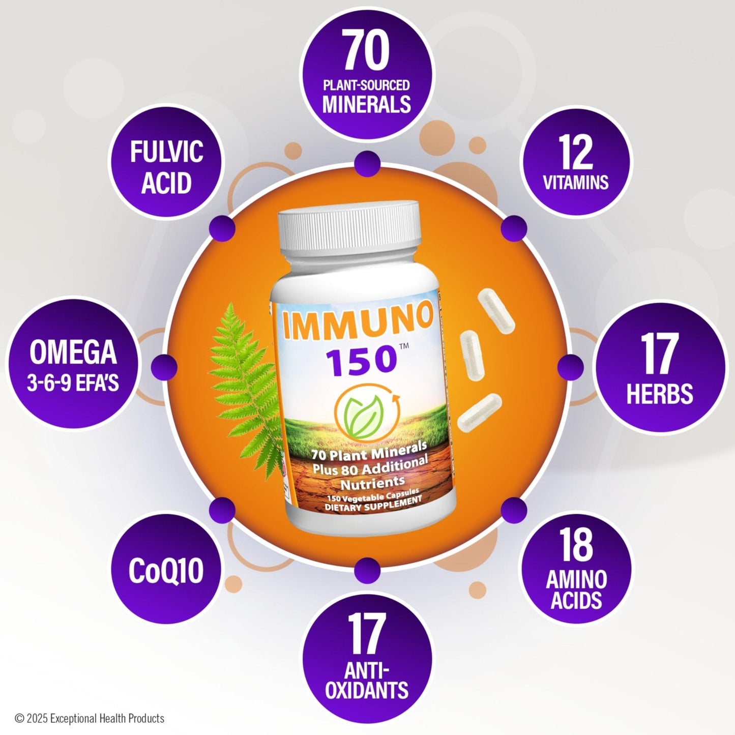 Immuno 150, Immune Support Supplement, Packed with 70 Plant Minerals, 13 Essential Vitamins and 68 Additional Nutrients-150 Vegetable Capsules- Immune Boost for All Age Groups - Maple Wellness Supplements