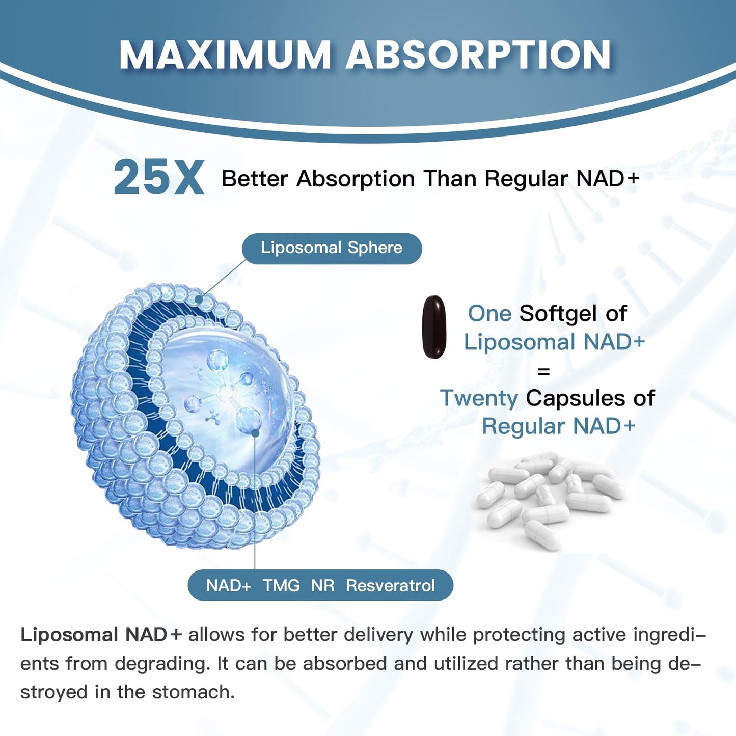 inGreens Liposomal NAD+ Supplement 1800 mg with Nicotinamide Riboside, Trans Resveratrol, Trimethylglycine，Replaces NMN, Boost NAD+, Aging Defense，Cellular Energy, 120 Softgels - Maple Wellness Supplements