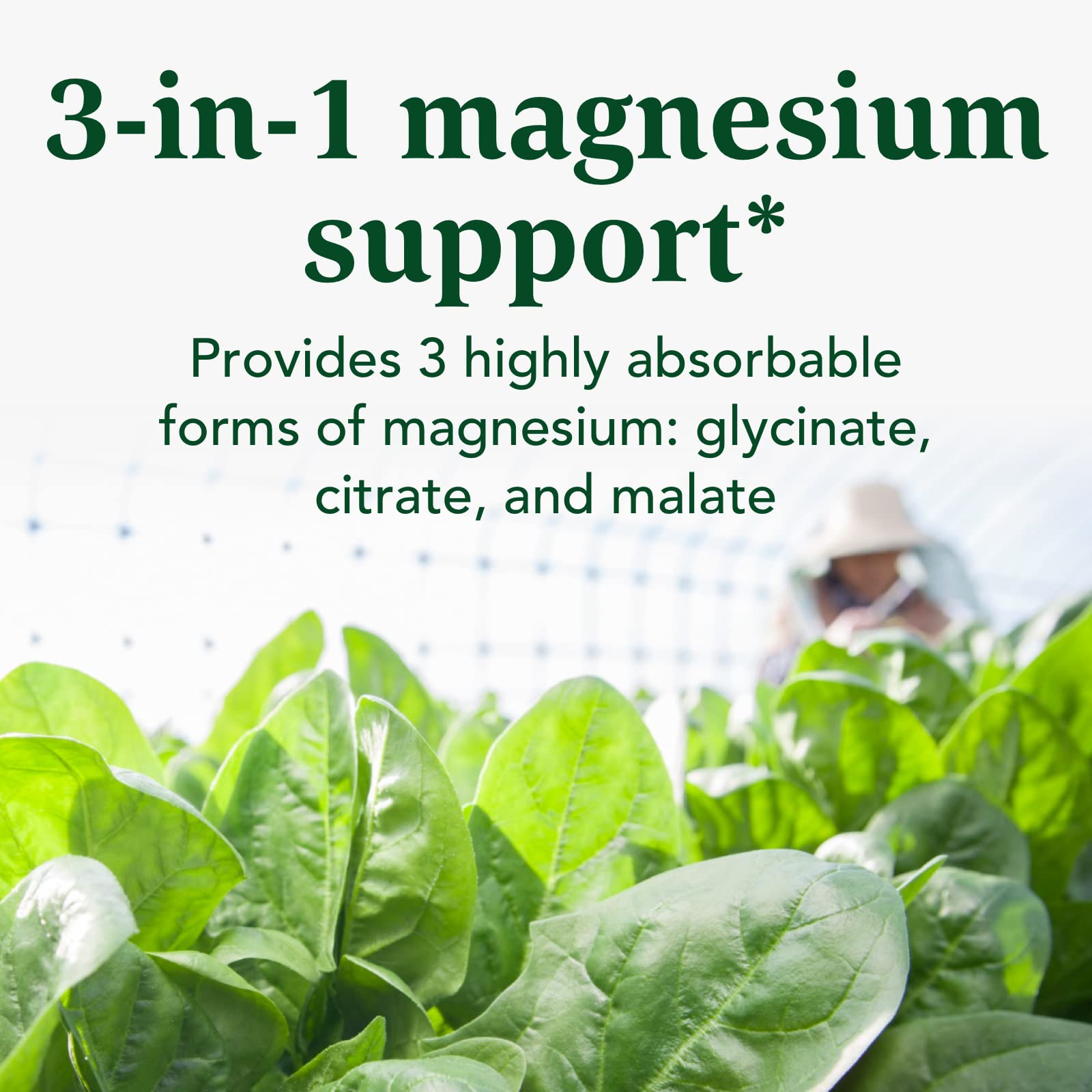 INNATE Response Formulas Magnesium 300 mg - Mineral Supplement for Muscle Relaxation - Vegetarian and Gluten-Free - 120 Capsules (60 Servings) - Maple Wellness Supplements