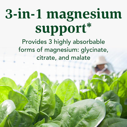 INNATE Response Formulas Magnesium 300 mg - Mineral Supplement for Muscle Relaxation - Vegetarian and Gluten-Free - 120 Capsules (60 Servings) - Maple Wellness Supplements