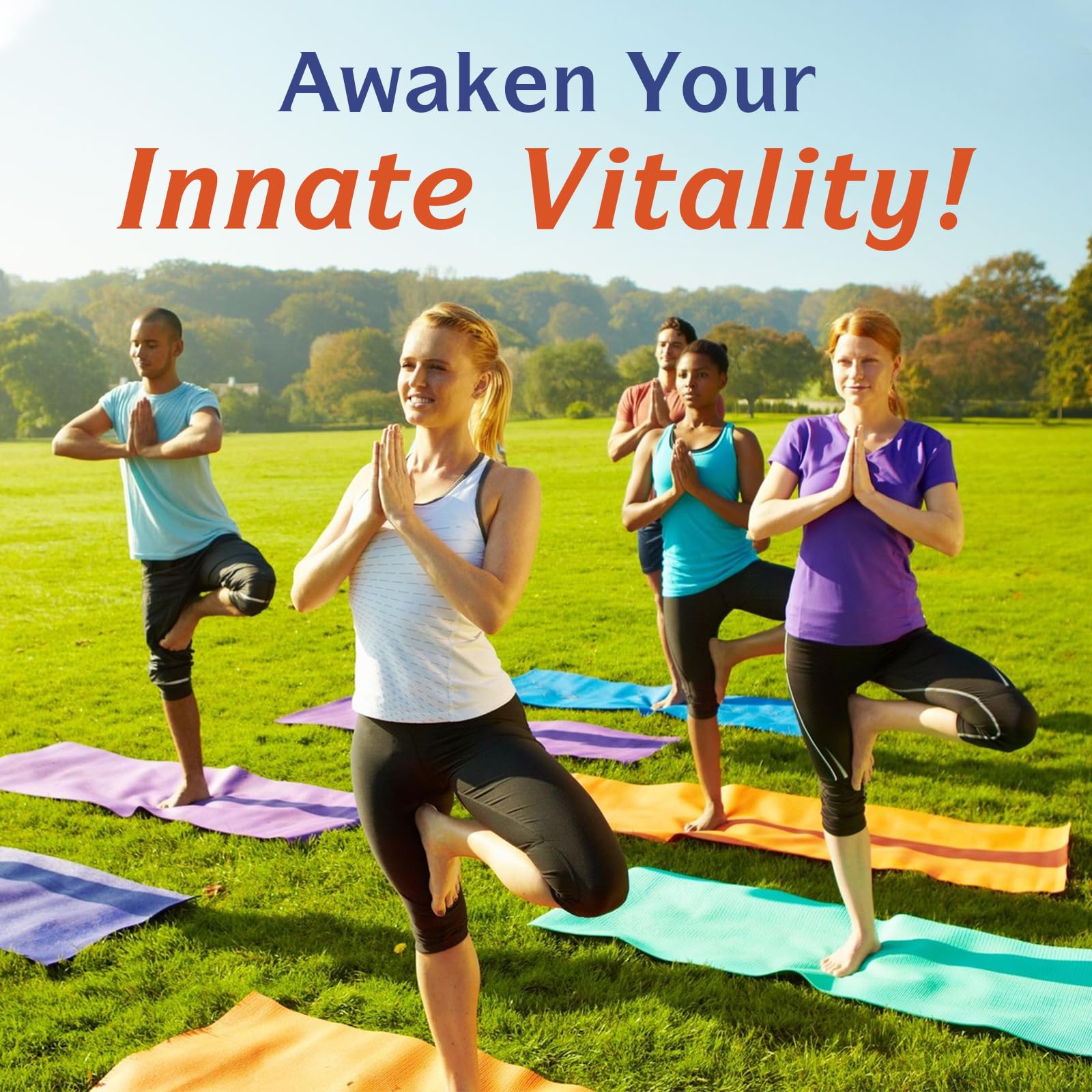 Innate Vitality 10-in-1 Magnesium Complex 960mg, 420mg Elemental Mag per Serving, with Magnesium Glycinate, Citrate, Malate, and More, Sleep, Digestion, Energy Support, 90 Vegan Caps - Maple Wellness Supplements