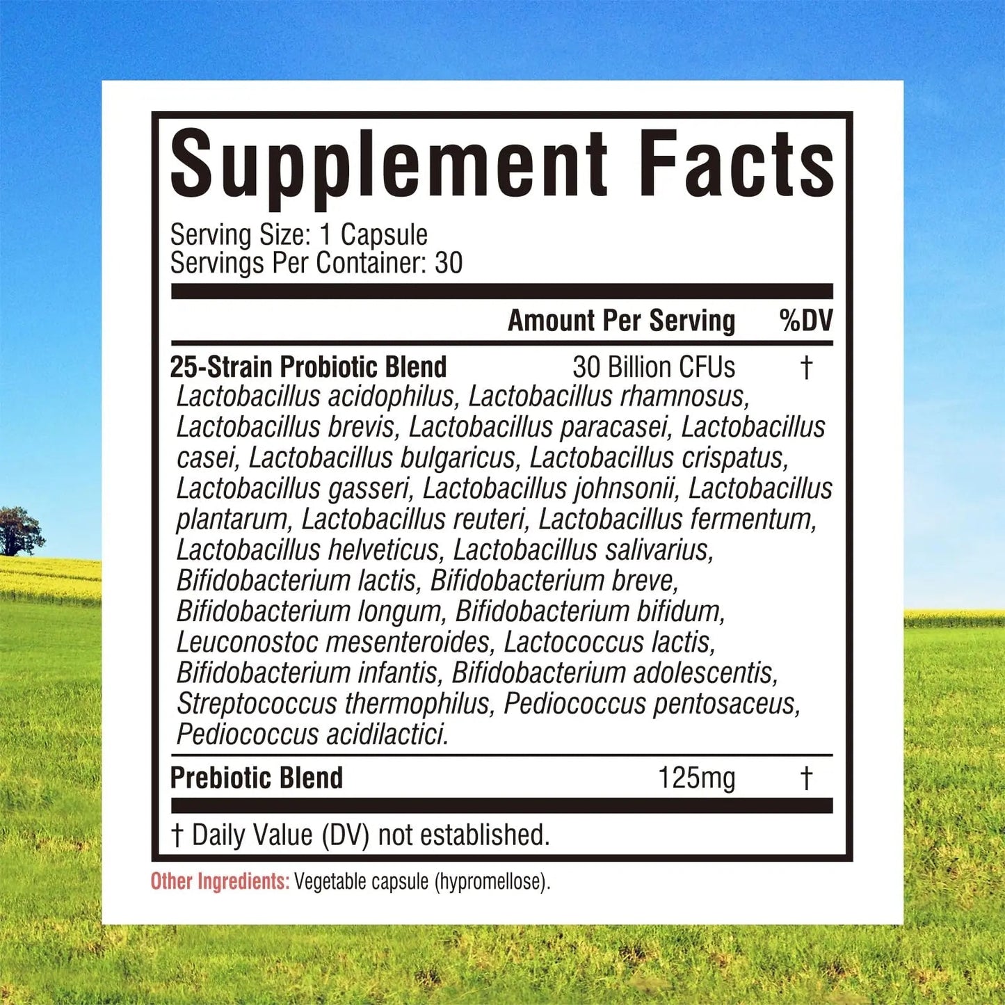 Innate Vitality Daily Probiotics for Women & Men, 30 Billion CFU of 25 Strains, Prebiotics, for Digestive Health Diarrhea Constipation Bloating & Gas Relief, Delayed Release, No Gluten, Vegan, 30 Caps - Maple Wellness Supplements