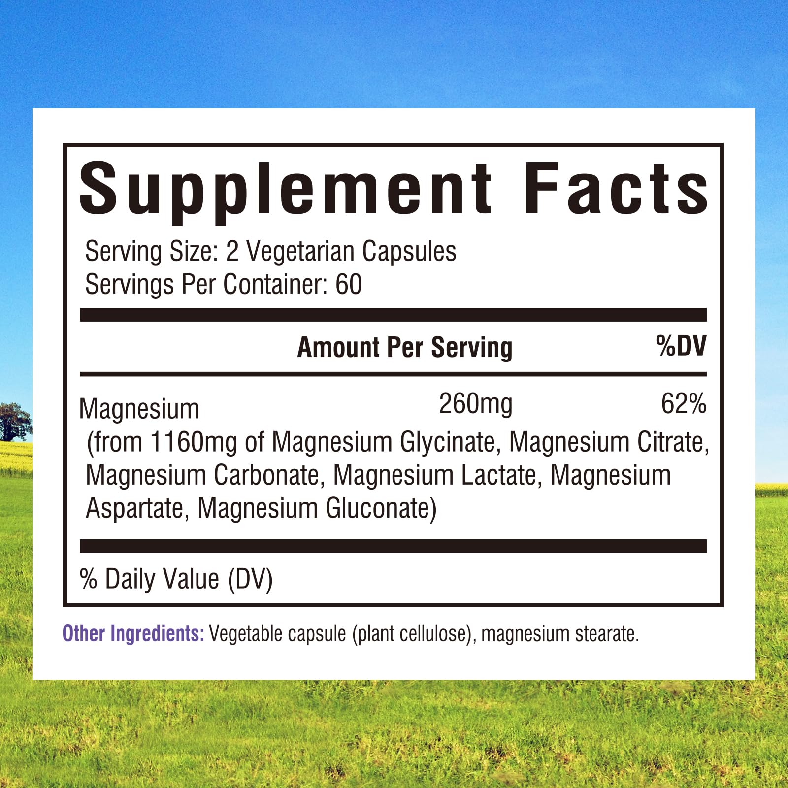 Innate Vitality Magnesium Complex 6-in-1, 1160mg Per Serving, Rest & Digestion, Magnesium Glycinate & Citrate, High Absorption, 120 Vegan Capsules - Maple Wellness Supplements