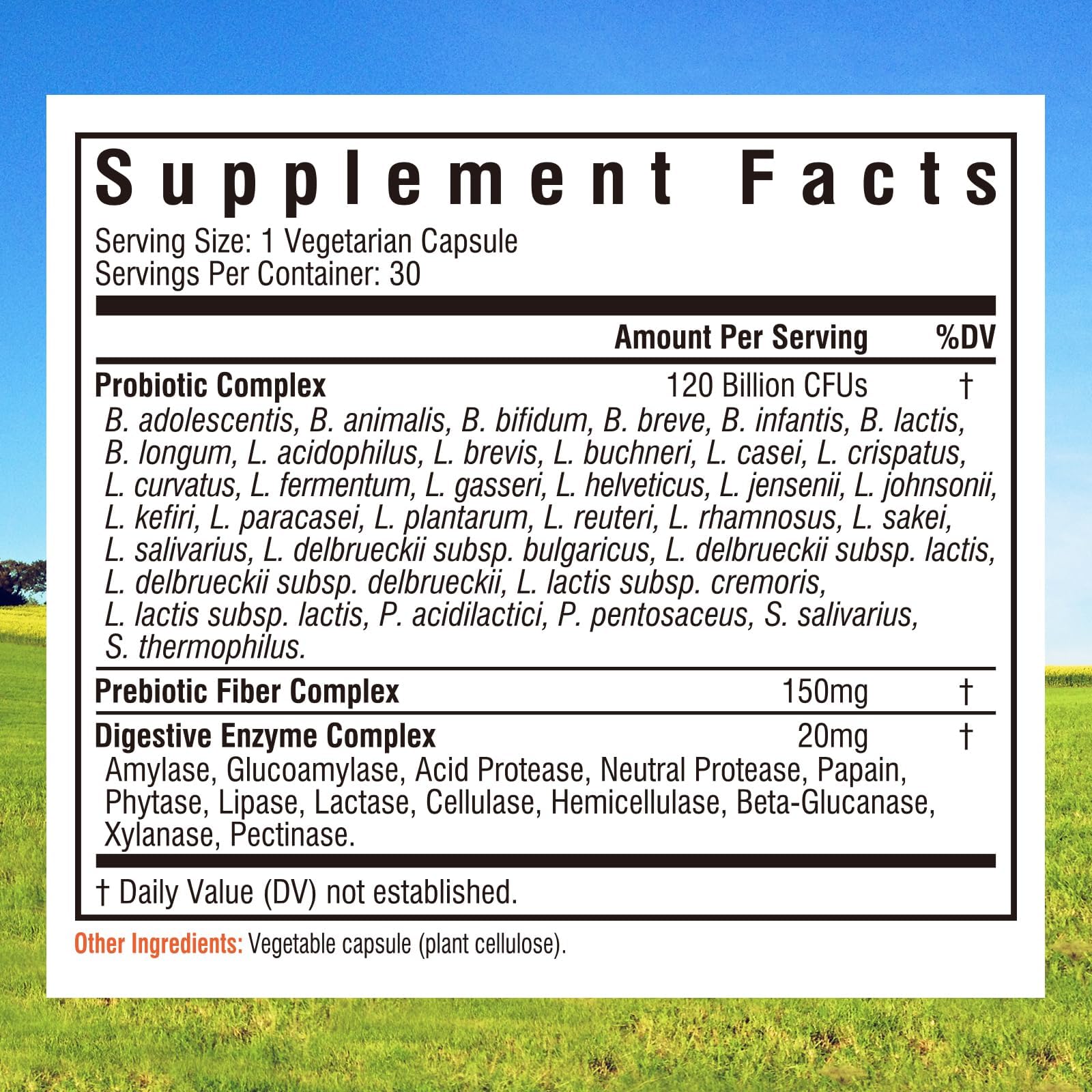 Innate Vitality Probiotics 120 Billion CFUs for Men & Women, 34 Strains with Prebiotics & Digestive Enzymes, Immune & Digestive Health - Maple Wellness Supplements