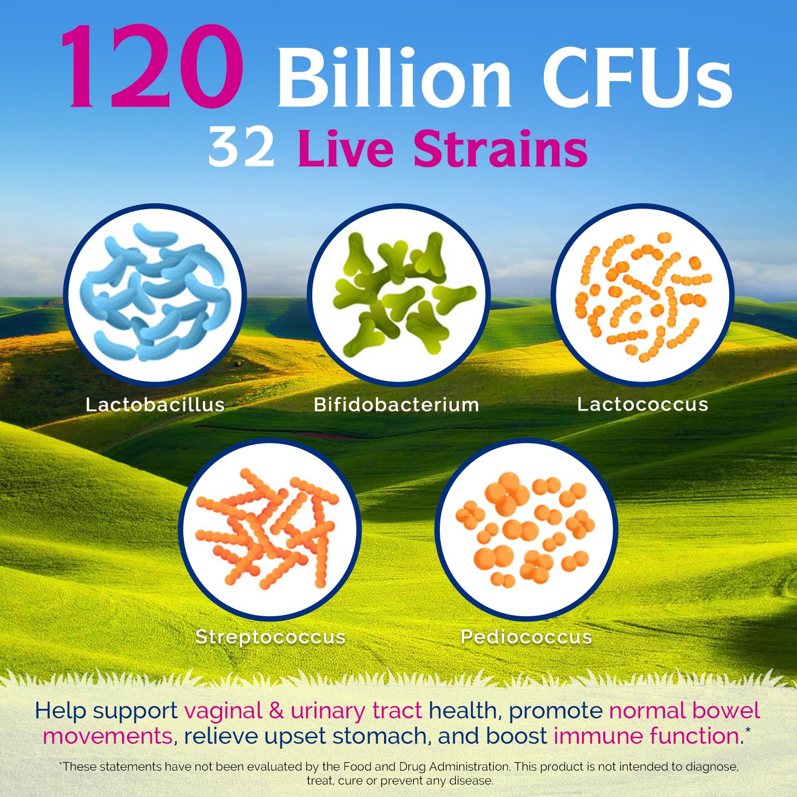 Innate Vitality Women's Probiotics, 120 Billion CFU, 32 Tested Strains, Probiotics for Women, Yeast Control, Vaginal pH Support, Prebiotics, Digestive Enzymes, Cranberry, Once Daily 30 Veggie Capsules - Maple Wellness Supplements