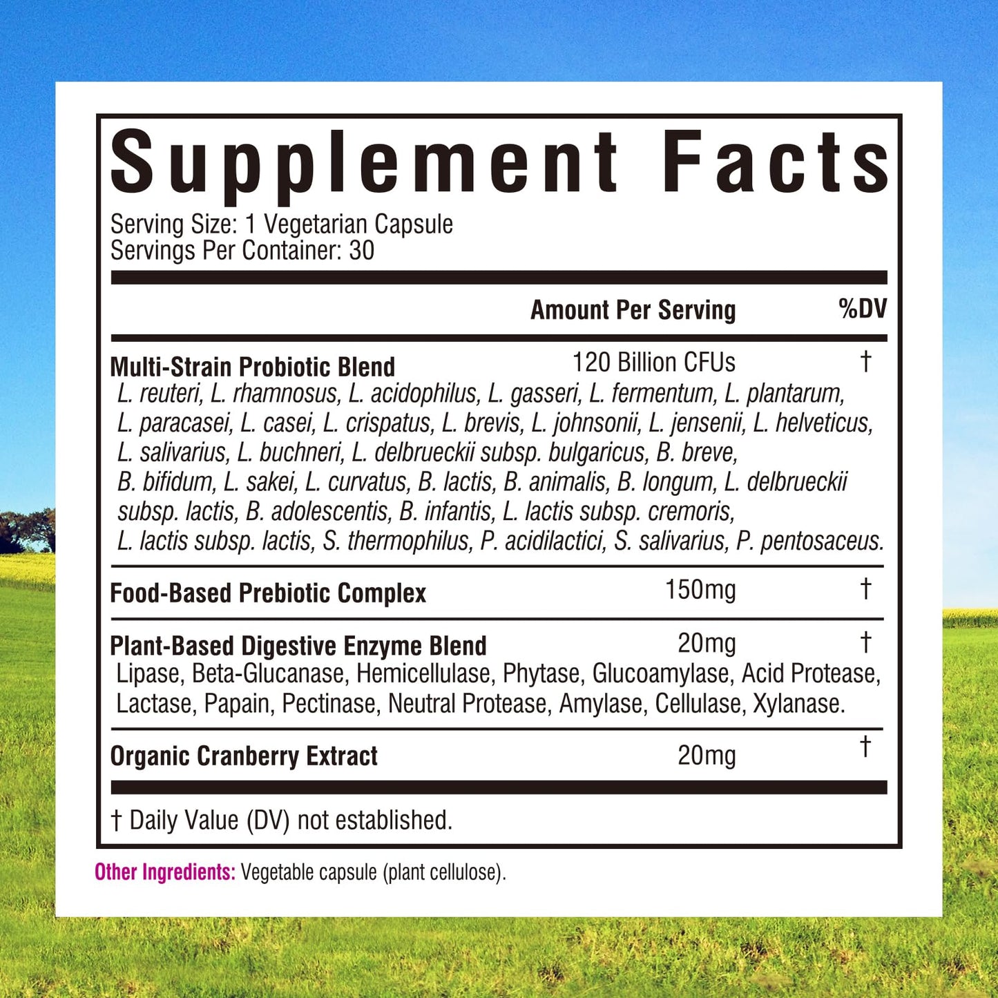 Innate Vitality Women's Probiotics, 120 Billion CFU, 32 Tested Strains, Probiotics for Women, Yeast Control, Vaginal pH Support, Prebiotics, Digestive Enzymes, Cranberry, Once Daily 30 Veggie Capsules - Maple Wellness Supplements