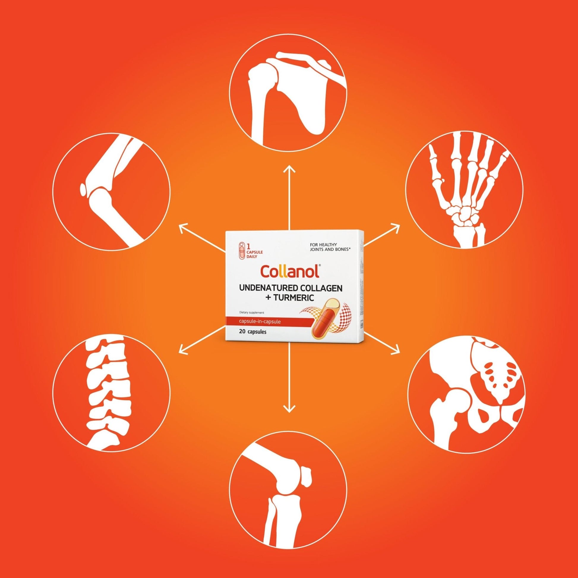 Innovation in The Care of Healthy Joints – Liquid Formula in a Double Capsule. 3D Collagen + Micelle Extract of Turmeric Roots 1 Capsule/Day. Laboratory Tested - Maple Wellness Supplements