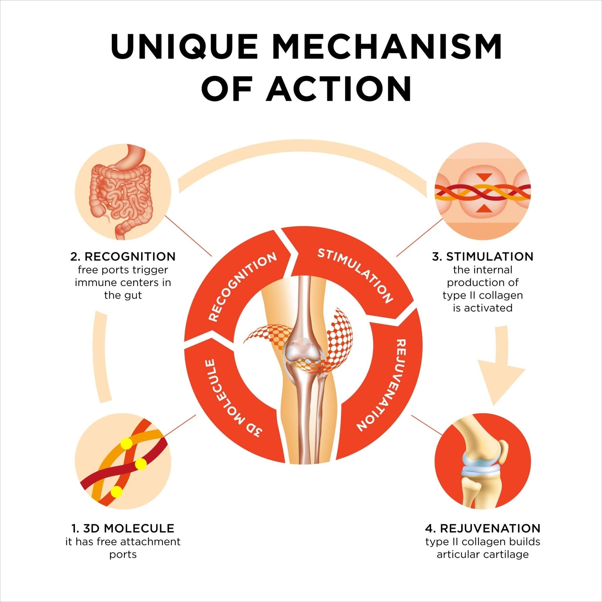 Innovation in The Care of Healthy Joints – Liquid Formula in a Double Capsule. 3D Collagen + Micelle Extract of Turmeric Roots 1 Capsule/Day. Laboratory Tested - Maple Wellness Supplements