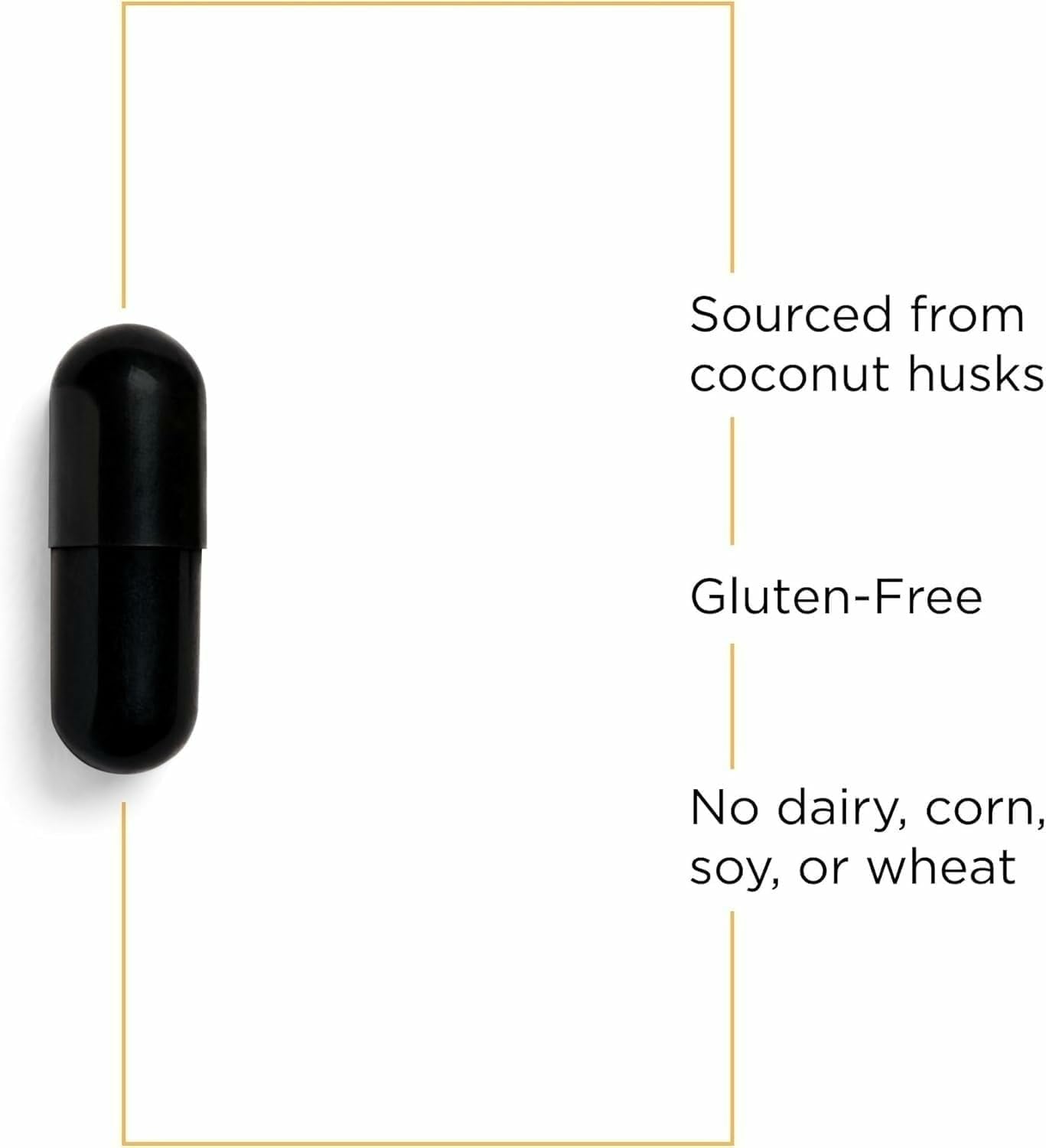 Integrative Therapeutics Activated Charcoal - Digestive & Gut Health Supplement - Effective Gastrointestinal Support - Gluten-Free & Dairy-Free - Maple Wellness Supplements