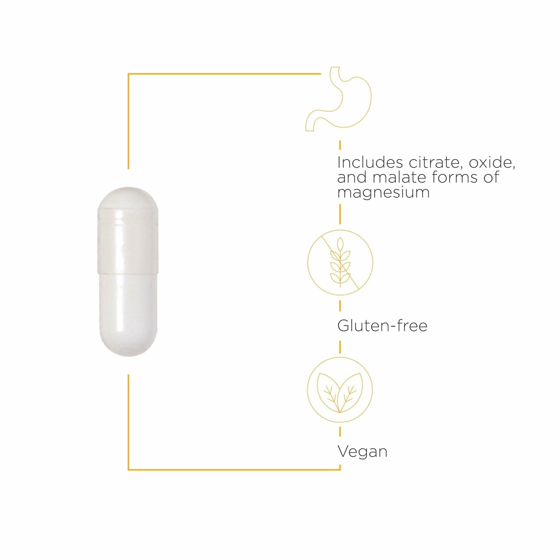 Integrative Therapeutics Tri-Magnesium - Supports Cellular Energy & Energy Metabolism - Magnesium Supplement for Heart & Nerve Health Support - Maple Wellness Supplements