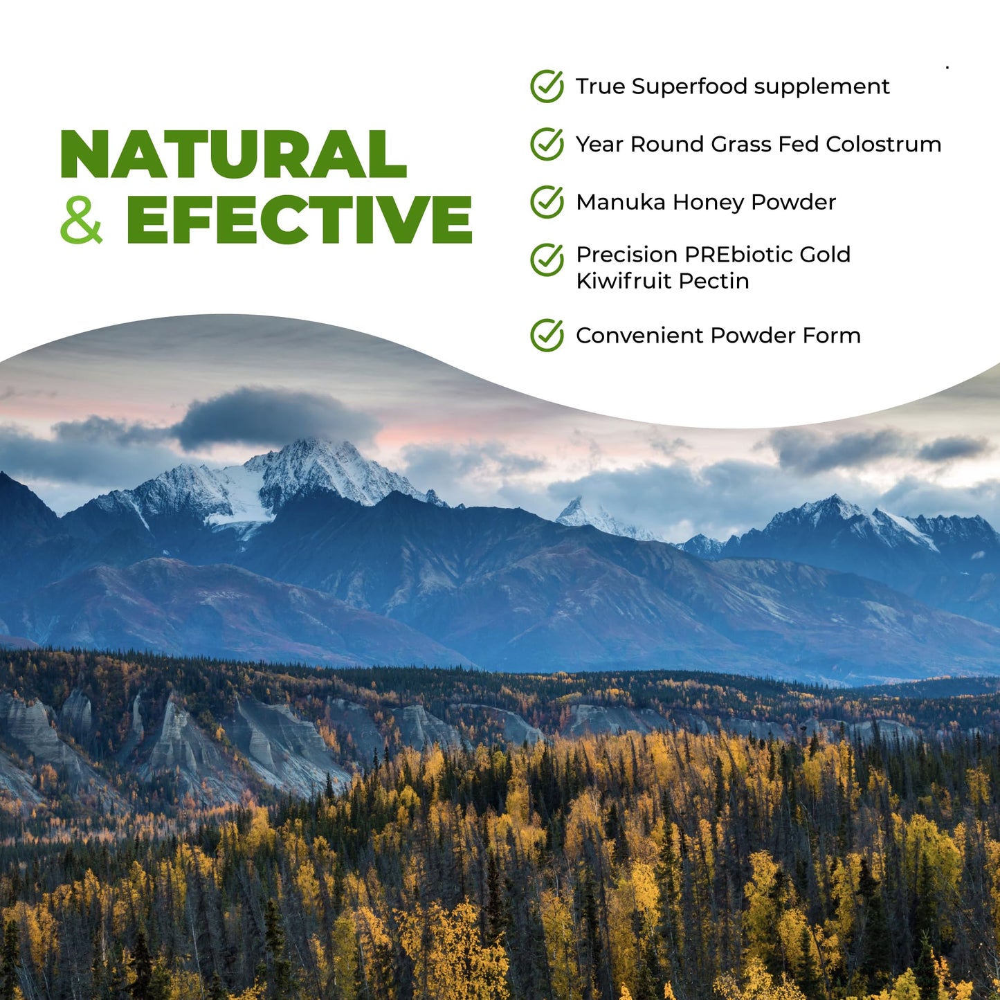 Intestinal Fortitude Boosted Colostrum Superfood Dietary Supplement: Grass-Fed New Zealand Bovine Colostrum, Gold Kiwifruit, Manuka Honey, for Digestion, Immune System, and Gut Health (60 Grams) - Maple Wellness Supplements