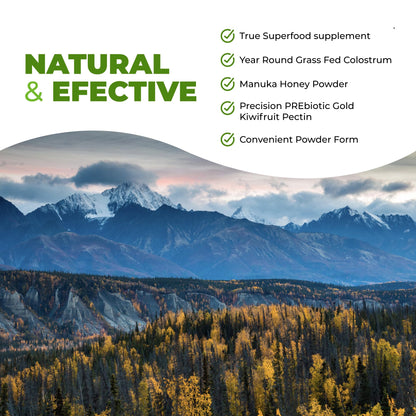 Intestinal Fortitude Boosted Colostrum Superfood Dietary Supplement: Grass-Fed New Zealand Bovine Colostrum, Gold Kiwifruit, Manuka Honey, for Digestion, Immune System, and Gut Health (60 Grams) - Maple Wellness Supplements