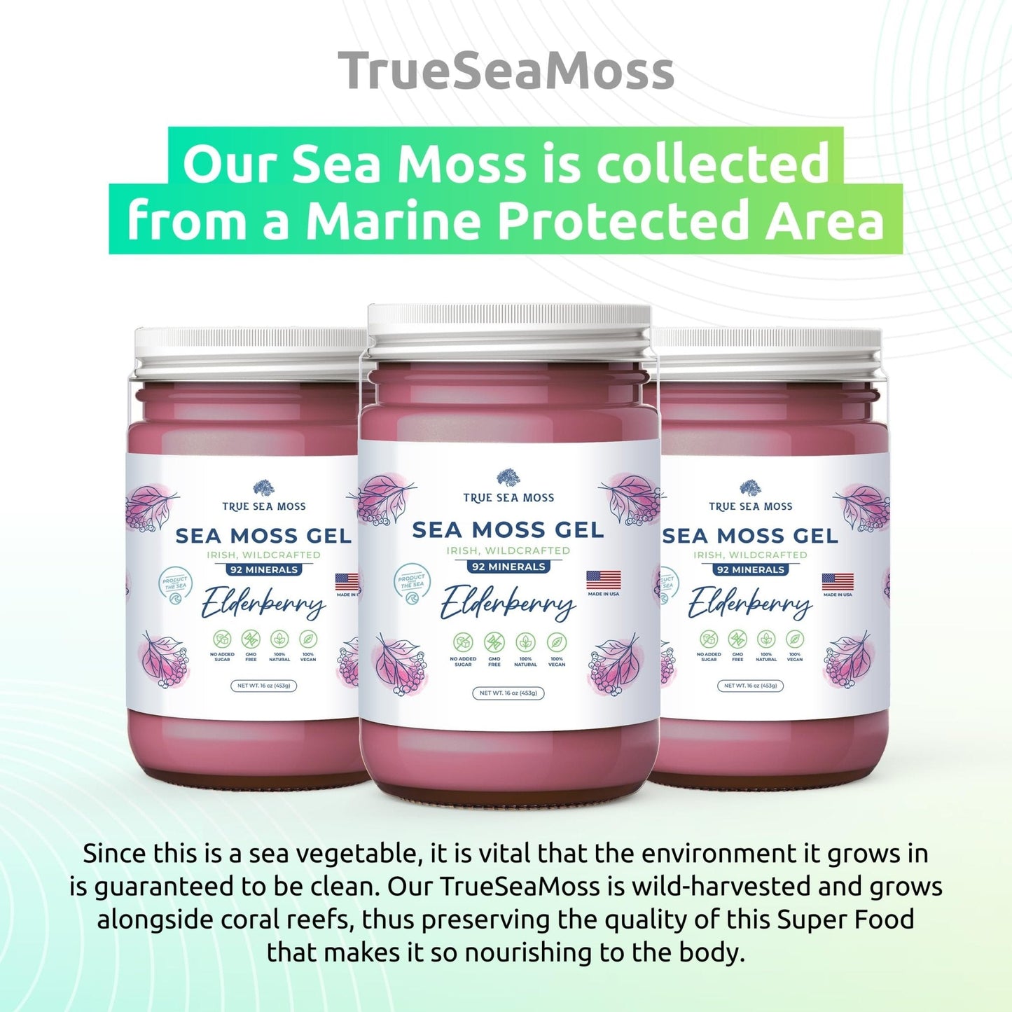 Irish Sea Moss Gel - Maple Wellness Supplements