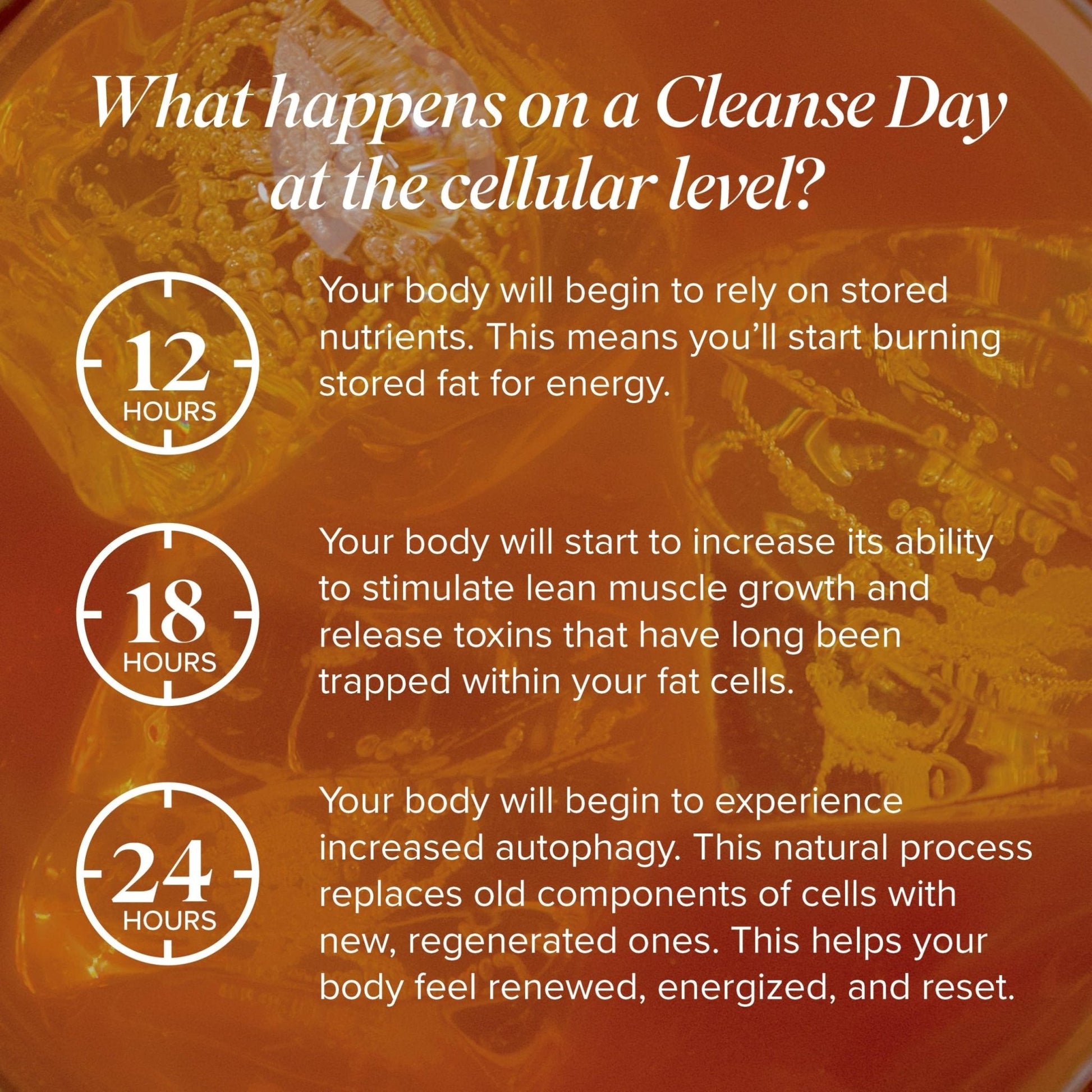 Isagenix Cleanse for Life - Powder Supplement for Cleanse Drink with No Laxatives or Diuretics - Support Metabolism with Vitamin B12 & Niacin - Maple Wellness Supplements