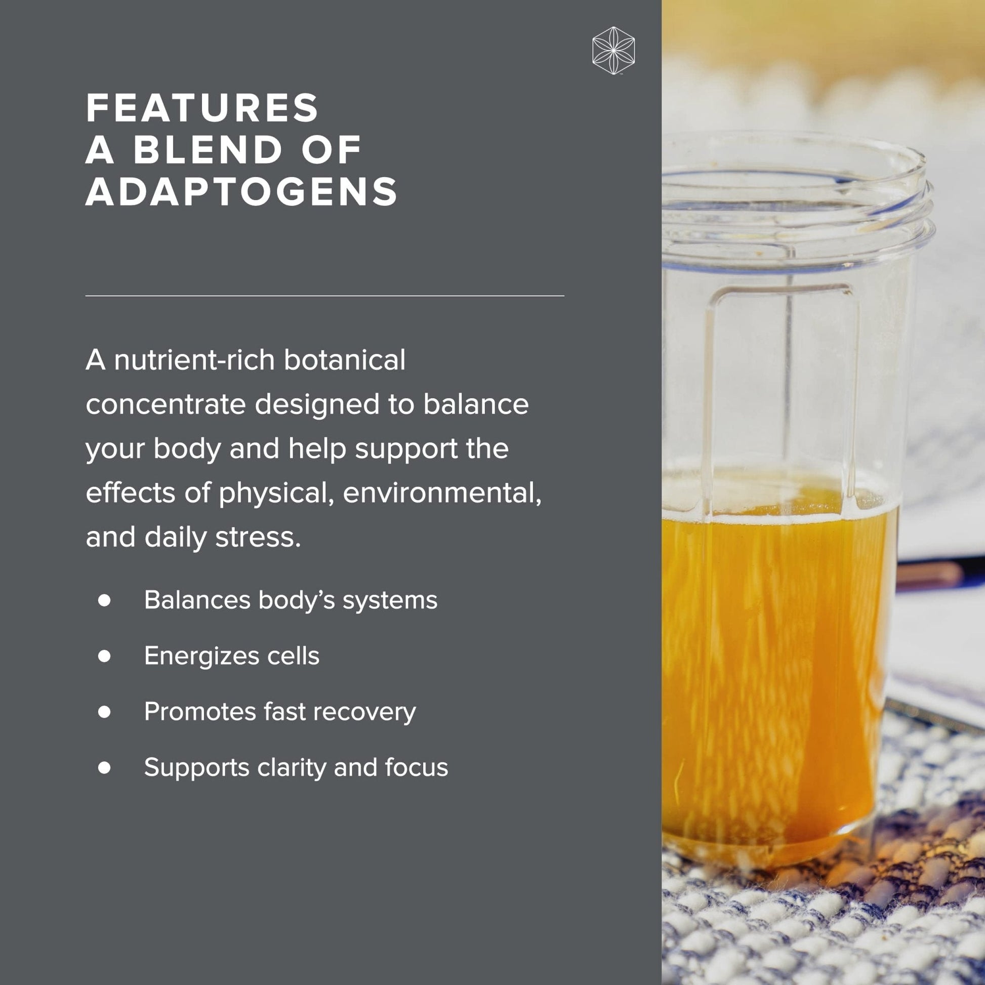 Isagenix Ionix Supreme - Powder Supplement with Vitamin B12 & Niacin - Focus Supplemen - Maple Wellness Supplements