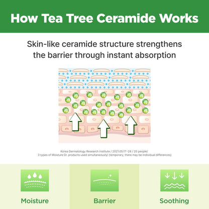 ISOI Moisture Dr. Mask Pack, Hydrating & Soothing Korean Sheet Mask for Face with Tea Tree, Ceramide & Hyaluronic Acid, Nourishing Skin Barrier Care, Korean Skin Care (10EA) - Maple Wellness Supplements