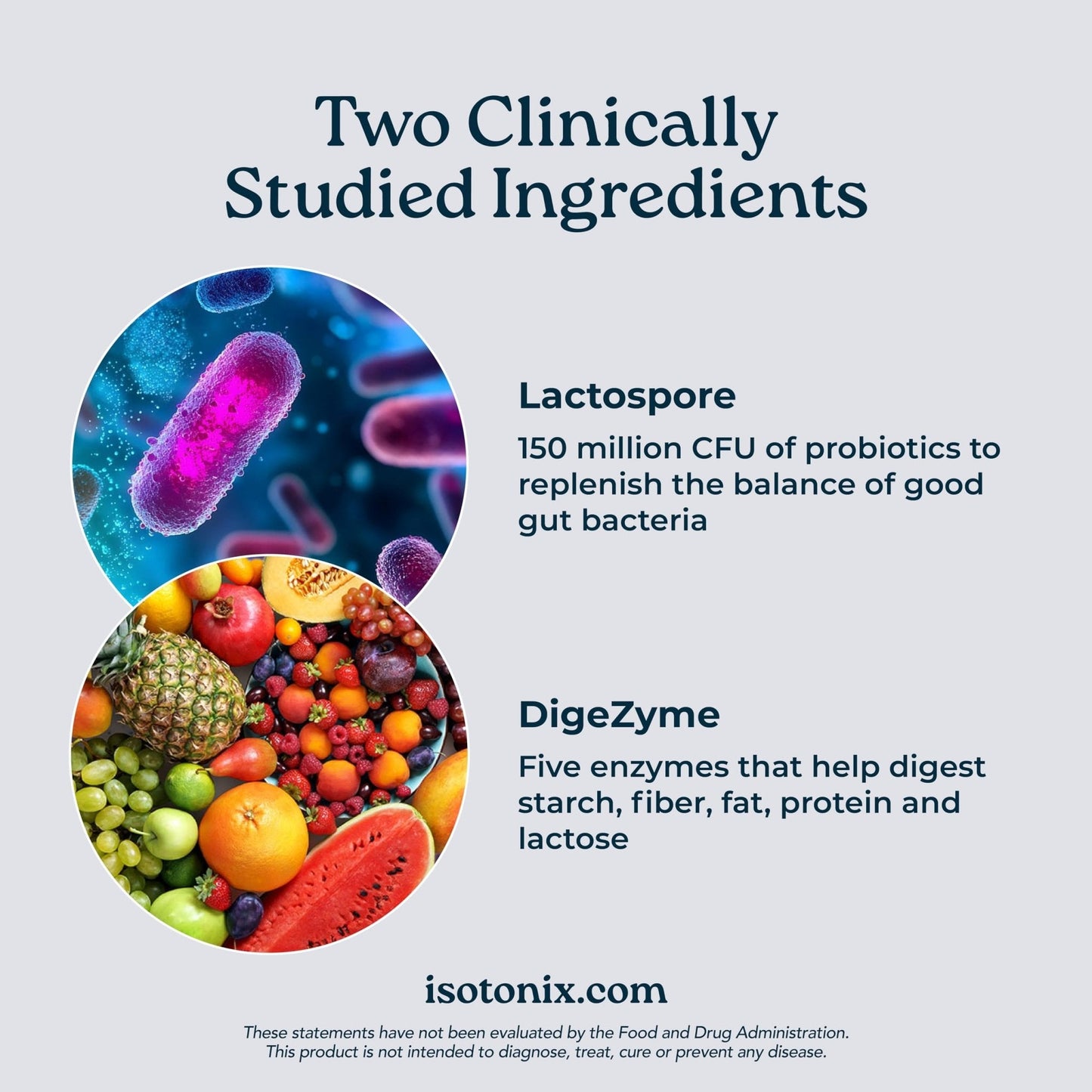 Isotonix® Digestive Enzymes with Probiotics | DigeZyme® Multi-Enzyme Complex & Lactospore® Bacillus Coagulans | Nutrient Absorption, Gut Balance & Digestive Health - Maple Wellness Supplements