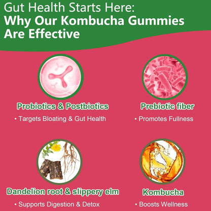 Itiban Probiotic Kombucha Gummy - Prebiotics, Probiotics, Postbiotics, Fiber Supplement, Slippery Elm for Bloating, Gut Health, Women and Men, 60ct - Maple Wellness Supplements