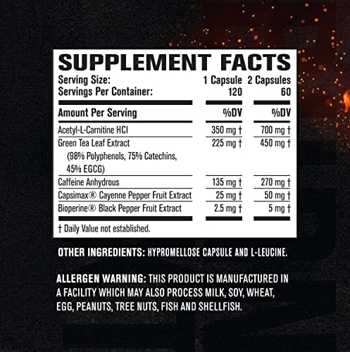 Jacked Factory Burn-XT Body Recomposition for Men & Women - Improve Focus - Maple Wellness Supplements