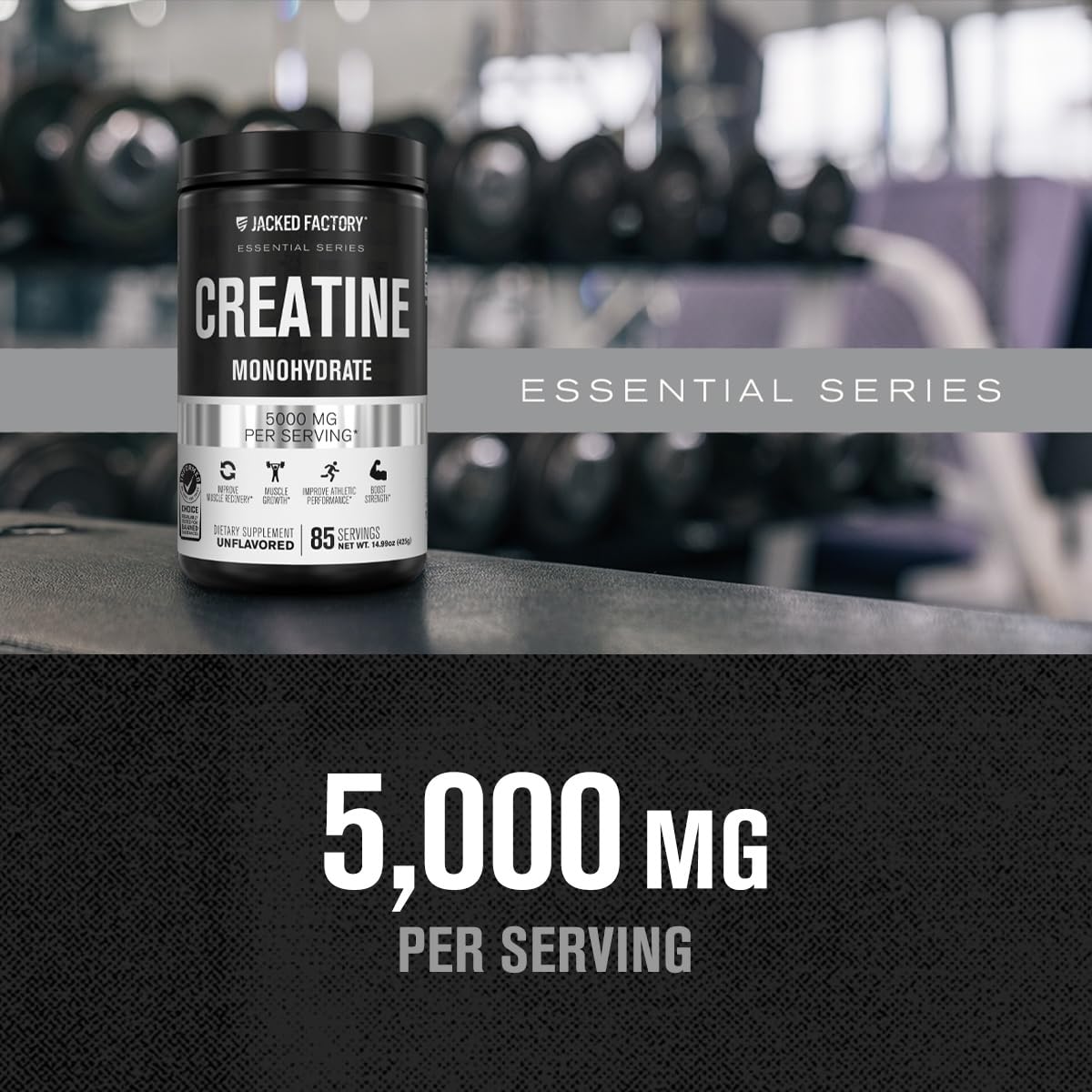 Jacked Factory Creatine Monohydrate Powder 425g - 5g Daily Creatine Supplement for Men and Women, Vegan-Friendly - Maple Wellness Supplements