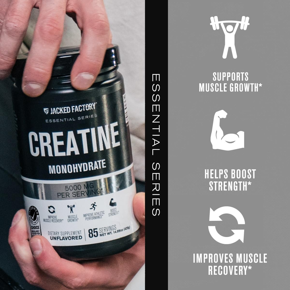 Jacked Factory Creatine Monohydrate Powder 425g - 5g Daily Creatine Supplement for Men and Women, Vegan-Friendly - Maple Wellness Supplements