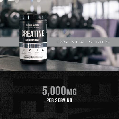 Jacked Factory Creatine Monohydrate Powder 425g - Creatine Supplement for Muscle - Maple Wellness Supplements