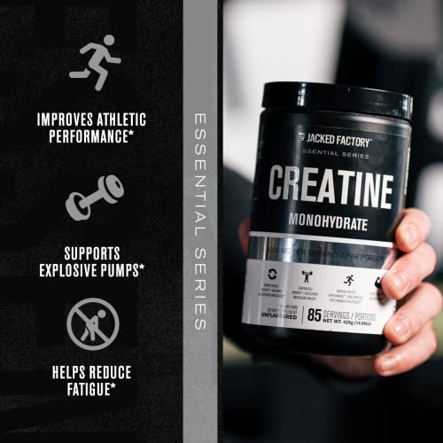 Jacked Factory Creatine Monohydrate Powder 425g - Creatine Supplement for Muscle - Maple Wellness Supplements