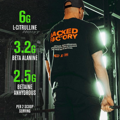 Jacked Factory NITROSURGE Pre Workout Supplement - Endless Energy, Instant Strength Gains, Clear Focus, Intense Pumps - NO Booster & Preworkout Powder with Beta Alanine - Maple Wellness Supplements