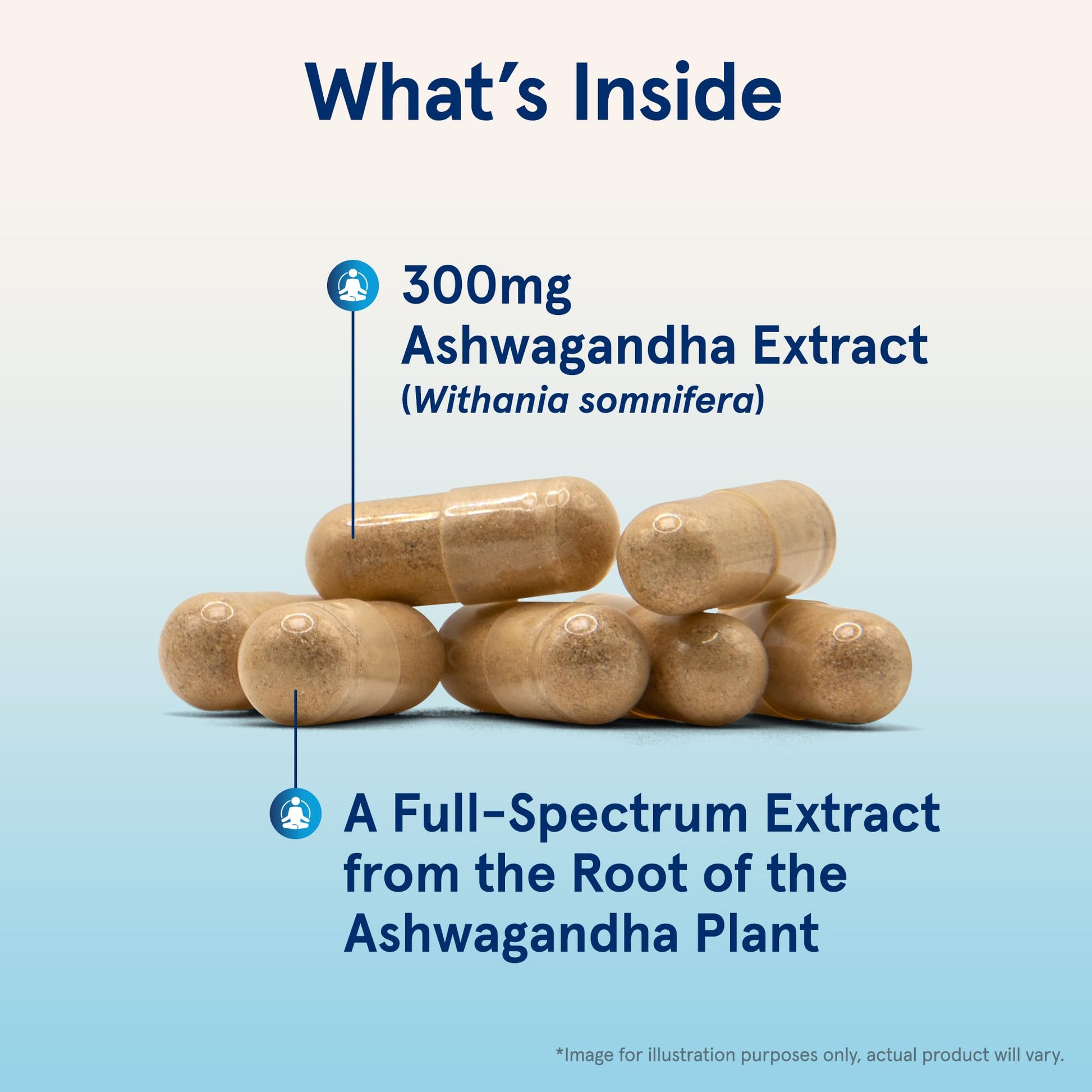 Jarrow Formulas Ashwagandha Capsules, 300 mg Supplement Supports Normalized Resistance to Mental and Physical Stress, 120 Veggie Capsules, 60 Day Supply - Maple Wellness Supplements