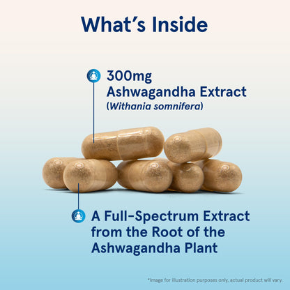 Jarrow Formulas Ashwagandha Capsules, 300 mg Supplement Supports Normalized Resistance to Mental and Physical Stress, 120 Veggie Capsules, 60 Day Supply - Maple Wellness Supplements