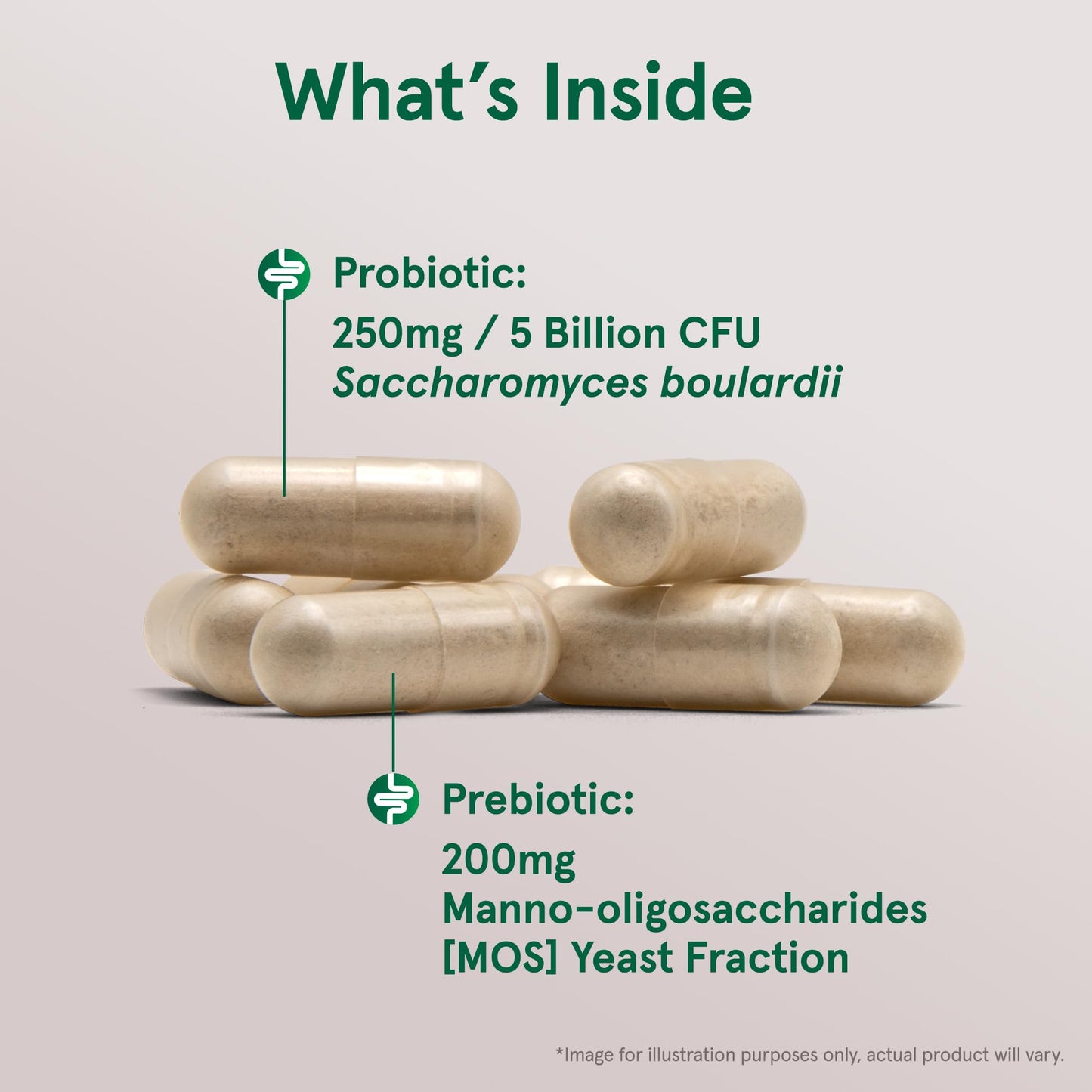 Jarrow Formulas Saccharomyces Boulardii + MOS Probiotics for Digestive Health and Intestinal Tract Support - 5 Billion CFU Per Serving - 90 Delayed Release Caps - Maple Wellness Supplements