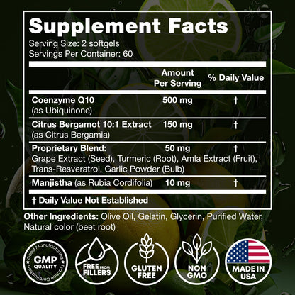 JOYLI Nutrition 2 Pack CoQ10 500mg - High Absorption Coenzyme Q10 Supplement - Co Q 10 for Energy & Vitality - Alternative to CoQ10 400mg & 300mg - 240 Softgels - Maple Wellness Supplements