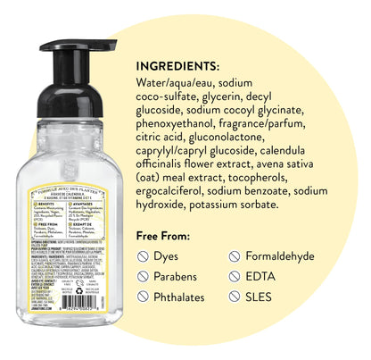 J.R. Watkins Foaming Hand Soap with Pump Dispenser, Moisturizing Foam Hand Wash, Alcohol-Free, Cruelty-Free, Citron, 9 fl oz, 3 Pack - Maple Wellness Supplements