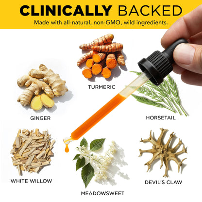 Juicy Joint by Plants Basically – Joint Support Supplement for Mobility, Relief & Recovery | - Maple Wellness Supplements